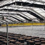 Length 30-100m Hoop House Light Deprivation Greenhouses for Mushroom Large