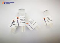 Wholesale Recombinant Glutathione S Transferase Tag Antibody from Antigen Affinity Purification from china suppliers