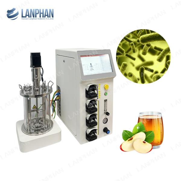 2l 5l 10l Automatic Spirulina Yeast Culture Glass Fermenter Bioreactor For Cell