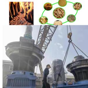 Wholesale 450-700mm Animal Feed Pellet Machine 380V 50HZ 3Phase Pellet Maker Machine from china suppliers