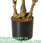 Artificial Plant Ficus Carica Fruit Plant Bonsai Tree Faux Plant Indoor Home