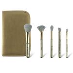 5pcs Mini Travel Makeup Brush Set With Portable Cosmetic Bag Easy To Carry