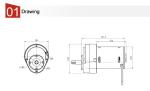 Slow Juicer DC Motor