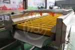 Vegetable Washing Machine Tomato Washing Machine Vegetable Wash Line Automatic