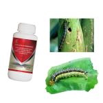 PD20097412 AcNPV Organic Agriculture Biological Pesticide For Brassicaceous