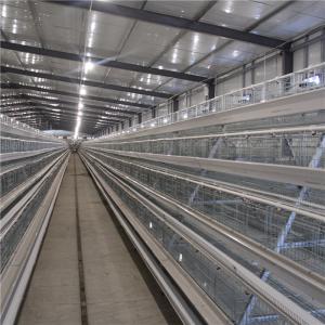 Wholesale A Frame Broiler Chicken Cage System Hot Dipped Wire Mesh from china suppliers