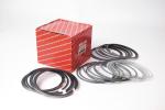 8DC9T Mitsubishi Fuso Genuine Parts Piston Ring Set ME996194