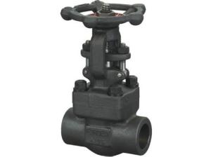 Wholesale Threaded End Forged Steel Gate Valve 800LB Conventional Port Handwheel Operation from china suppliers