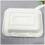 Disposable Natural Color Sugarcane Pulp 7x5 Inch Clamshell -Recycle Biodegradabl