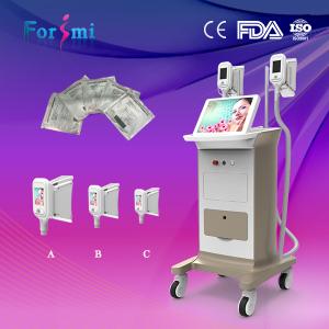 Wholesale 3 handle sizes forctory price champagane Cryolipolysis Slimming Machines to body shaping from china suppliers
