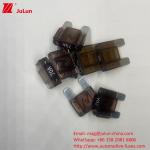 High Standards Auto Blade Fuses With 80A 32V