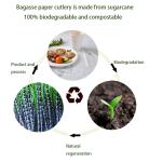 16cm Bagasse Biodegradable Disposable Utensils For Party Factory Wholesale