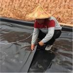 Long-Lasting HDPE Geomembrane 0.75mm 1mm 2mm for Landfill Liner and Swimming