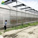 Hot Dip Galvanized Steel Frame Multi Span Greenhouse For Tomatoes And Cucumbers