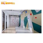 Waterproof Rock Climbing Wall Panels Theme Park Fitness Rock Climbing Training