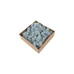 Customized Color Super Moss Reindeer Moss 58*39.5*20CM For Home Decoration