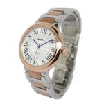 Full Stainless Steel Quartz / mechanical wrist watches for men , Swiss Movement