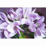 Real Touch PU plumeria, 4 colors