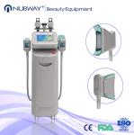Fat freezing Cryolipolysis slimming machine