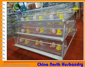 China poultry cages - Wholesalers, Suppliers of poultry cages , India on sale