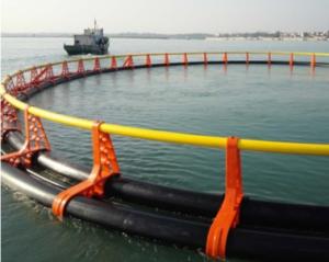 Wholesale Fish Farming Floating Net Cages Round Square Shape Diameter 10m-40m from china suppliers
