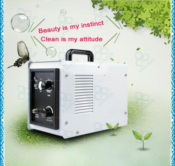 3 - 5 G / Hr Air Cooling 80W House cleanion Ozone Air Purifier With Domestic 