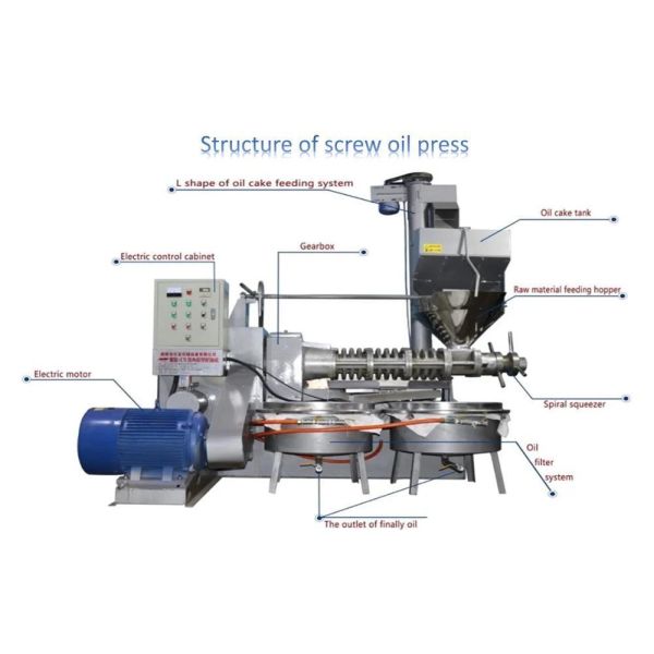 Sesame Macadamia Oil Extraction Made with MCO-120 Customized Screw Oil Press Machine