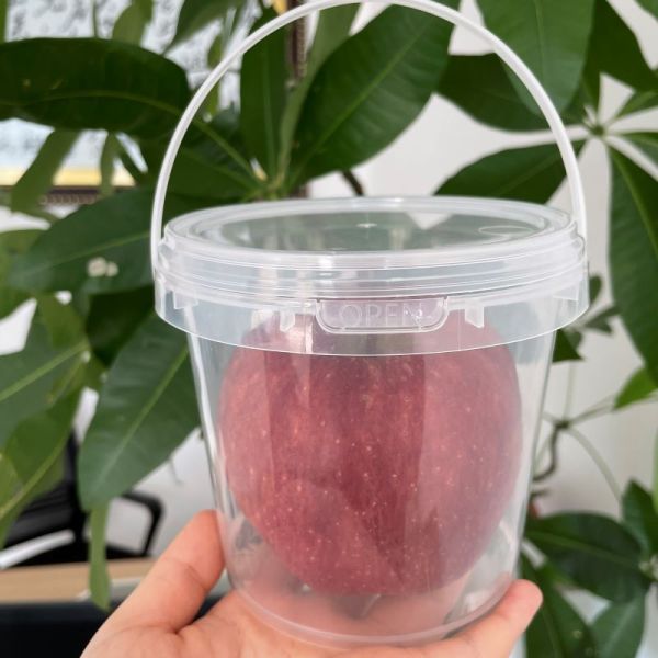 1.0MM-2.5mm Thickness Custom Food Bucket For Popcorn 32oz 46oz 64oz 85oz Free Sample