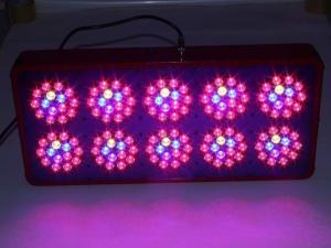 Wholesale Wholesale Abibaba Hydroponics apollo 10 Full Spectrum 3w chip led grow light from china suppliers