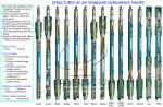 High Performance API / ISO Industrial Oil Sucker Pump / Downhole Pump