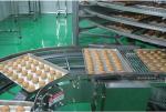 Torre Espiral Manufacturer High Quality Fully Automatic Spiral Cooling Tower