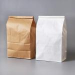 Custom Recycled Brown Paper Bag Kraft Paper Bag with Logo Printed