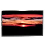 BOE 22.0 inch LCD Screen EV220WPM-N10 resolution 1680*1050 lvds 30pins LCD Panel