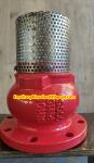 PN10 or PN16 cast iron flanged foot valve Supplier