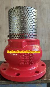Wholesale PN10 or PN16 cast iron flanged foot valve Supplier from china suppliers