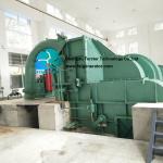 3 Phase AC Hydroelectric Pelton Turbine Generator Compact Structure
