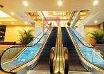 1000mm Subway 2 Cascade 0.5m Shopping Mall Escalator Screw Type Elevator