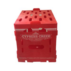 Wholesale Velcro PP Hollow Box 5mm Corrugated Plastic Packing Box Turnover Red from china suppliers