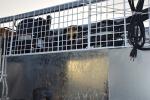 Top Mounted Two Glass Swing Door Merchandiser Freezer with Eco friendly R290