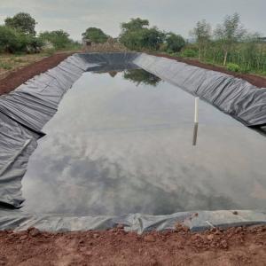 Wholesale 500 Micron Smooth HDPE Geomembrane for Aquaculture in Indonesia Fish Pond Liners from china suppliers