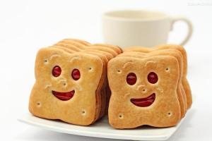 Wholesale Soda Crackers For All Ages HACCP Certification In 150g from china suppliers