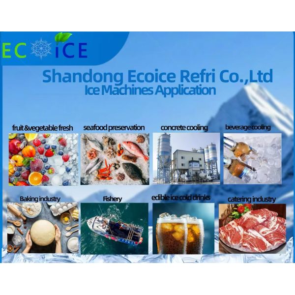 Ecoice crystal 2 Tons Tube Ice Machine Maker Price