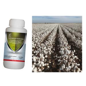 Wholesale Spray HaNPV Pure Biological Preparation 10 Million PIB/ML 2000IU/ML Bt Kill Cotton Bollworm from china suppliers