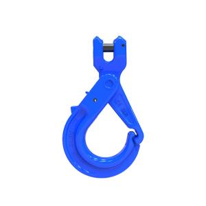 Wholesale SLR1017-G100 SPECIAL EYE SELFLOCKING HOOK from china suppliers