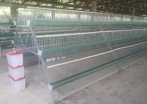 Wholesale Popular Chicken Egg Layer Cage , Battery Cage System For Battery Chicken from china suppliers