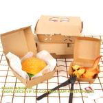 Takeaway Food Box Container For Burger Eco Friendly Custom Burger Box Packaging