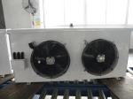 Monoblock Refrigeration Cold Room Cooling Unit For Meat Fish Vegetable