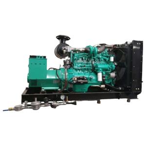 Wholesale Low-Noise 150kw Natural Gas Power Generation Equipment with Starting System Recoil Start from china suppliers