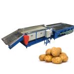 Raisin Cleaning Tomato Apple Cherry Blueberry Sorting Machine