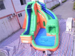 Wholesale Forest Inflatable Water Slide (CYSL-20) from china suppliers
